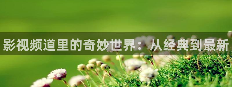 被窝电影网在线观看